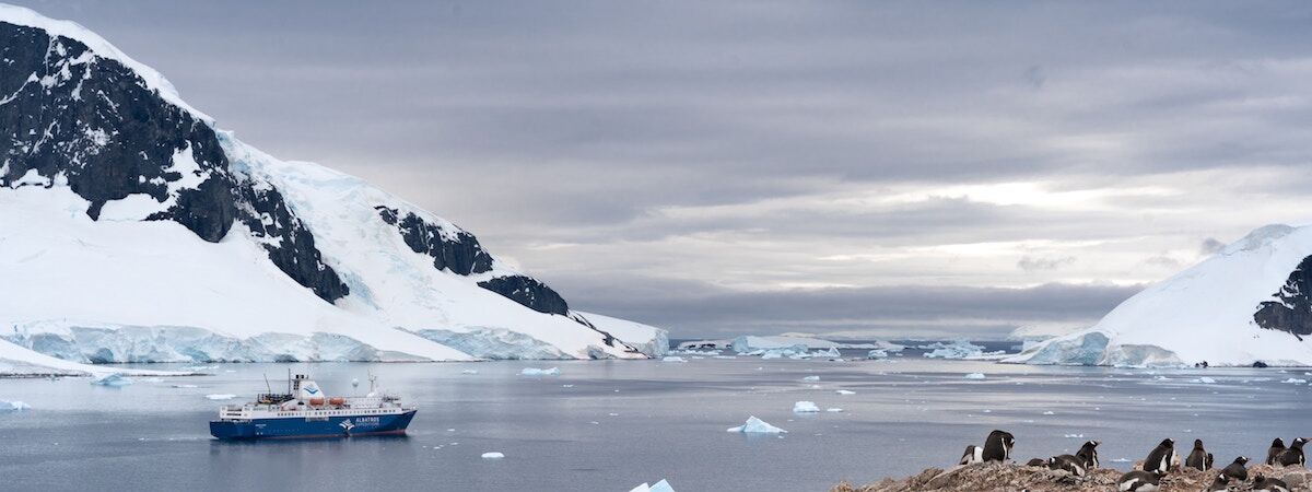 antartida e1625577183512