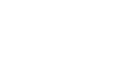 IBM Silver Partner