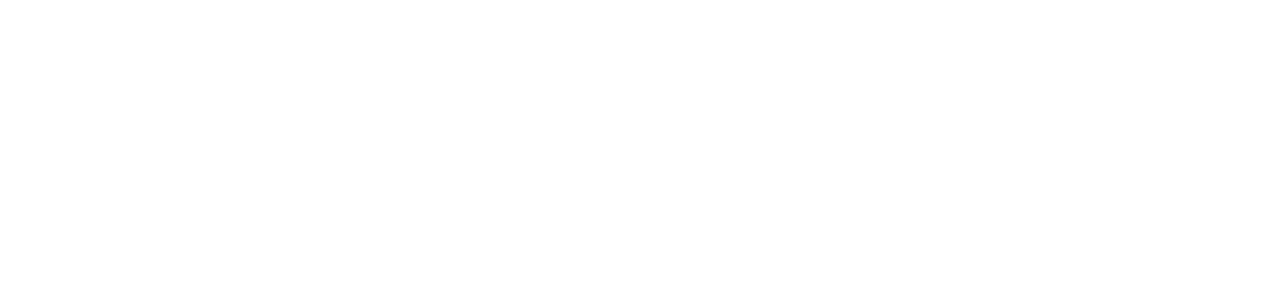 Microsoft Solution Partner