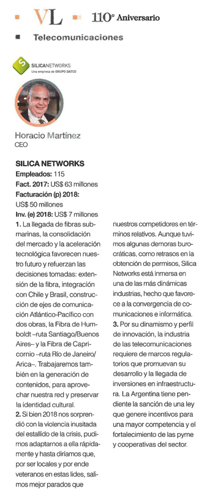 vision lideres silica networks large